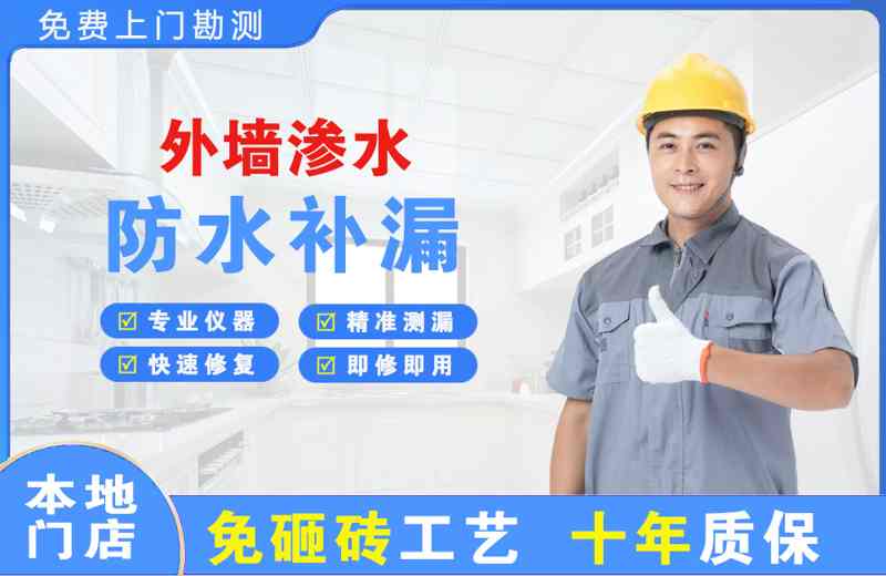 兰西外墙渗水维修